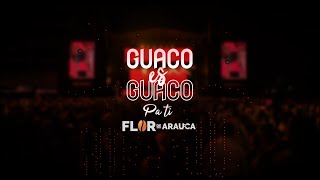 GUACO ES GUACO  Pa ti [upl. by Daven997]