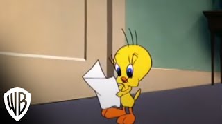 Looney Tunes Super Stars Tweety amp Sylvester Feline Fwenzy  Admirer  Warner Bros Entertainment [upl. by Chauncey]