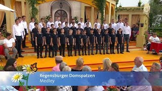 Die Regensburger Domspatzen singen ein quotVolksliederMedleyquot  quotImmer wieder sonntagsquot am 22072019 [upl. by Vernen]