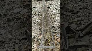 Use PVC Pipes And Wire Mesh Cleverly To Build A Mountain Slide For Smart Transportation Of Walnuts [upl. by Einolem]