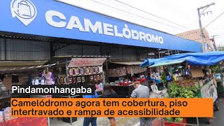 Pindamonhangaba ganha camelódromo na região central [upl. by Jillene]