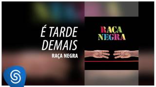 Raça Negra  É Tarde Demais Raça Negra Vol 6 Áudio Oficial [upl. by Ykcub173]