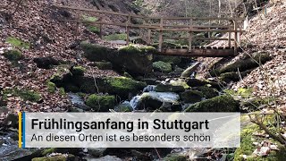 Frühlingsanfang in Stuttgart An diesen Orten kann man den Frühling genießen [upl. by Fogarty244]