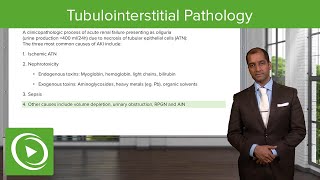 Tubulointerstitial Pathology – NephrologyFoundations  Lecturio [upl. by Atinrahs]