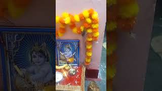 hum sub bolenge happy birthday to you  krishnajanmashtami krishna krishnalove [upl. by Atinaej]