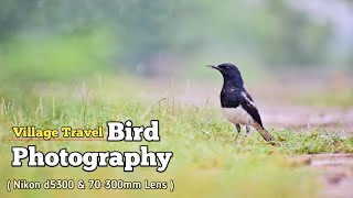 Village Travel Bird Photography  70300mm Lens With Nikon d5300  janaphotography photographer [upl. by Oeram]