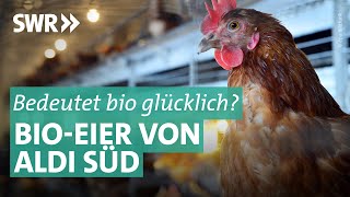 Bioeier von ALDI Süd Die Lüge von glücklichen Hühnern  Marktcheck SWR [upl. by Refotsirc]