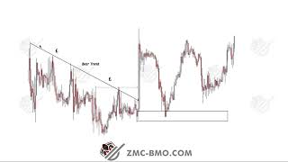 Zm Capital Course Liquidity [upl. by Ettelocin]