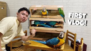 UNBAKSING MGA MACAW ANIM NA MACAW NATIN [upl. by Georges]