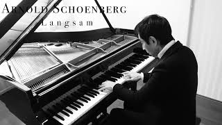 Schoenberg Sechs Kleine Klavierstücke Op19 No2 Langsam  Satoru Takishima [upl. by Kcirtapnhoj]