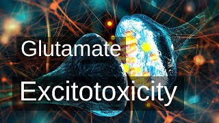 Glutamate Excitotoxicity and its Detrimental Effect on Mental Health [upl. by Bradlee635]