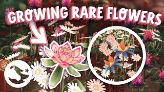 HOW TO get RARE Flowers Lumopetal amp Druids Sorrow SSO Update Ride Along [upl. by Malcolm]