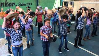 Apresentação de Dança 4º ano B  Festa Junina Escola Conceição Ribeiro 2015 [upl. by Stralka555]