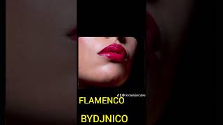 MIX FLAMENCO ÉXITOS BYDJNICO [upl. by Chantalle840]