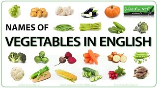 Vegetables in English  Names of Vegetables  English Vocabulary [upl. by Acirretal]