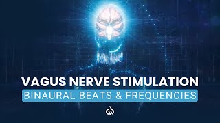 Vagus Nerve Stimulation amp Healing Frequency Nerve Healing Binaural Beats [upl. by Anaujal]