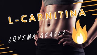 🔥 L CARNITINA 🔥 ¿SIRVE PARA LA QUEMA DE GRASA 🤔 [upl. by Relyc]