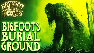 Bigfoots Burial Ground  Bigfoot The Road to Discovery Real Sasquatch Audio [upl. by Rempe]