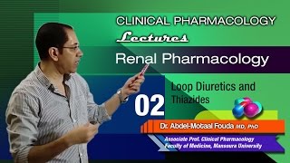 Renal Pharmacology Ar  02  Loop diuretics and thiazides [upl. by Dnalel271]