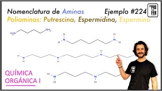 Nomenclatura de poliaminas Putrescina Cadaverina Espermina y Espermidina ejemplo 224 [upl. by Levy]