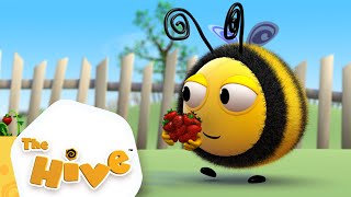 Collector Bee  The Hive Full Episodes  The Hive Official [upl. by Kcinnay]