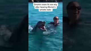 Mariah Carey sings to Dolphin with crazy high whistles and scares Dolphin away iconic mariahcarey [upl. by Akirderf]