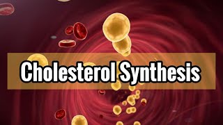 Cholesterol And Eicosanoids Synthesis Lec13 شرح [upl. by Gilbertina]