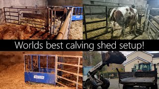 The best calving shed setup possible Tour and clean out [upl. by Annawit]