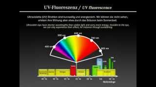 UVFluoreszenz  UV fluorescence [upl. by Meeharbi]