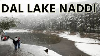 Dal Lake  Naddi Village  Naddi Snowfall  Mcleodganj Snowfall  Dal Lake in Winters  Himachal [upl. by Sikras]