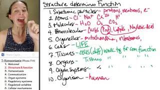 Homeostasis 2 Structure function [upl. by Redlac]