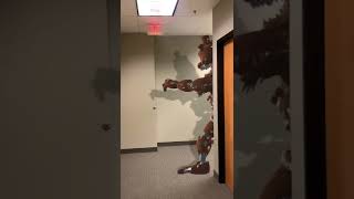 Chuck E Cheese Hallway Attacked Nightmare Freddy [upl. by Akenahc283]