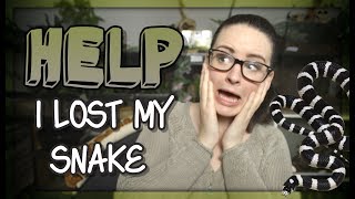 LOST MY SNAKE What to do [upl. by Connor]