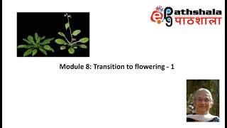 Module 8 Transition to Flowering  1 EPGPathshala [upl. by Fronnia242]