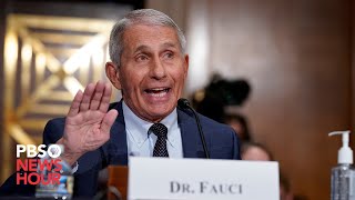 WATCH LIVE Fauci testifies on COVID19 response in Senate hearing [upl. by Ortrud249]