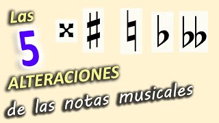 Las 5 ALTERACIONES de las notas MUSICALES Sostenido Bemol Becuadro [upl. by Bjorn]