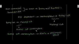 Biosynthesis of fatty acids Synthesis of palmitic acid Elongation of fatty acid [upl. by Chud215]