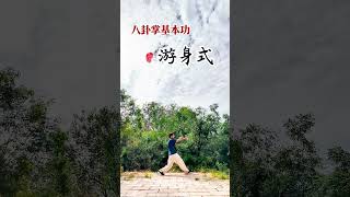 八卦掌基本功之游身式，一起练习吧！ 中华武术 kungfu 武术 传统文化 八卦掌 武術 太极 [upl. by Cost]