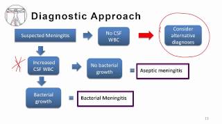 2 Overview aseptic meningitis [upl. by Luckin]