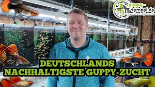 Zu Besuch bei GuppyTempel  Guppy Züchter [upl. by Aciretehs]