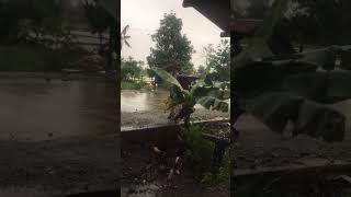 Daddypet Mabaitnpogi is liveclaver surigao province raining😱👍 [upl. by Eta]