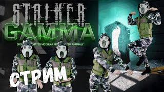 Играем в STALKER Anomaly 153 GAMMA Часть 5 [upl. by Ilatfan]