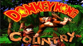 Aquatic Ambience InGame Version  Donkey Kong Country [upl. by Ahsitauq]