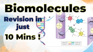 Biomolecules Complete Revision in 10 mins Chemistry Class 12 One shot video [upl. by Einrae546]