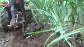 Mini plough in sugarcane at grand growth stage at ARS Basanthpur [upl. by Hutchison]