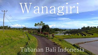 Driving in Wanagiri Tabanan Bali Indonesia [upl. by Einotna46]