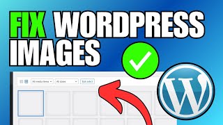 FIX WordPress Images Not Showing in Media Library [upl. by Jacquie501]