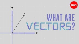 What is a vector  David Huynh [upl. by Nerfe864]