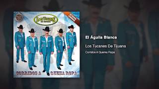 El Águila Blanca  Los Tucanes De Tijuana Audio Oficial [upl. by Swenson]