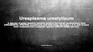 Medical vocabulary What does Ureaplasma urealyticum mean [upl. by Razatlab]